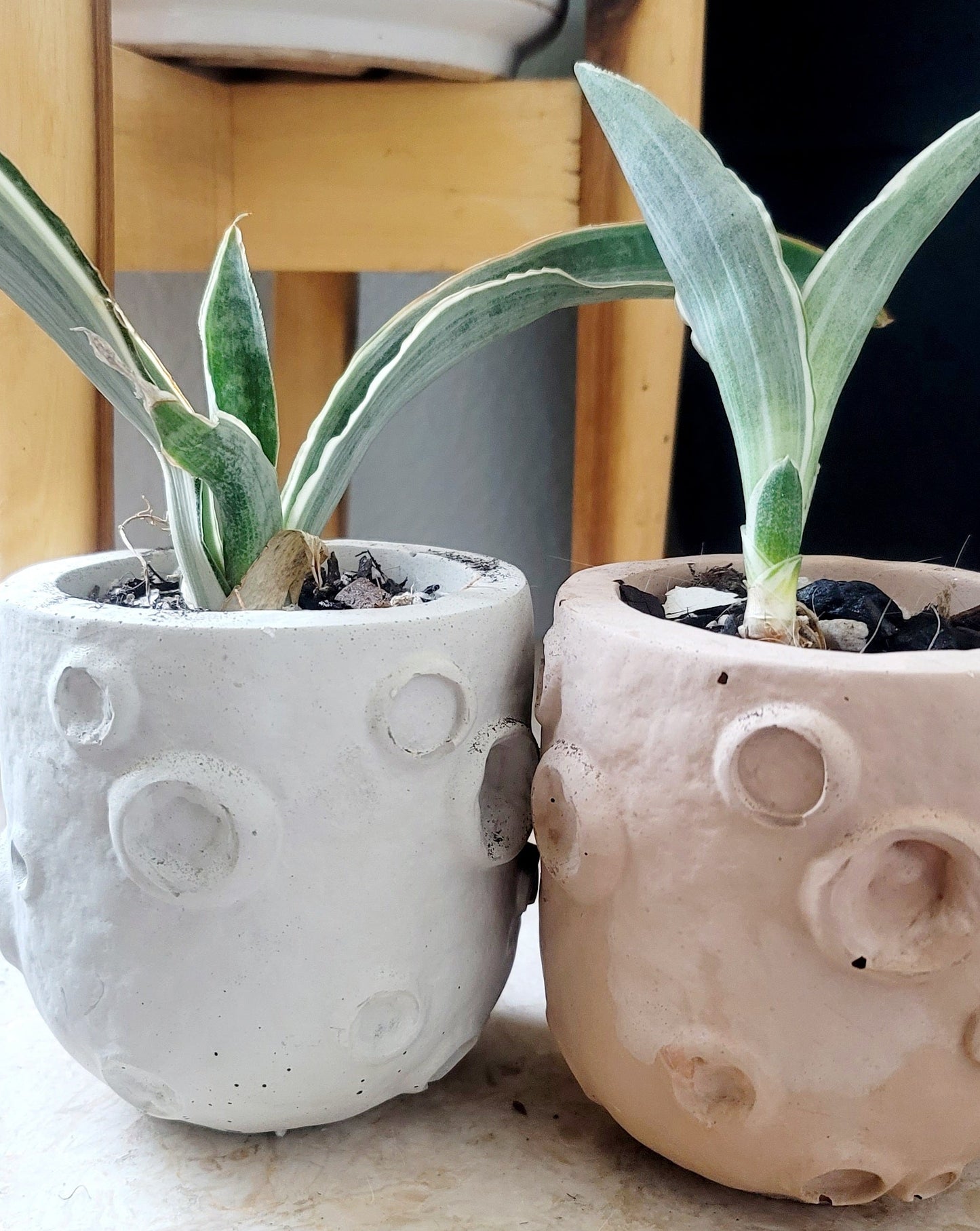 Moon Planter Pot – Celestial Home Decor for Your Plants