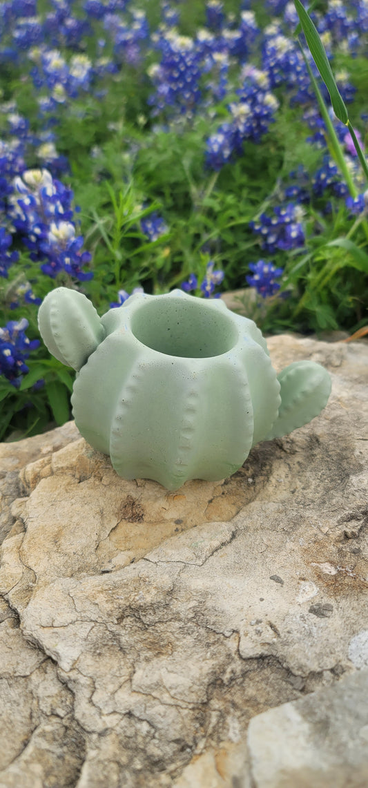 Cactus shaped planter