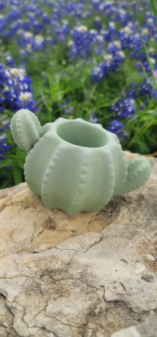 Cactus shaped planter
