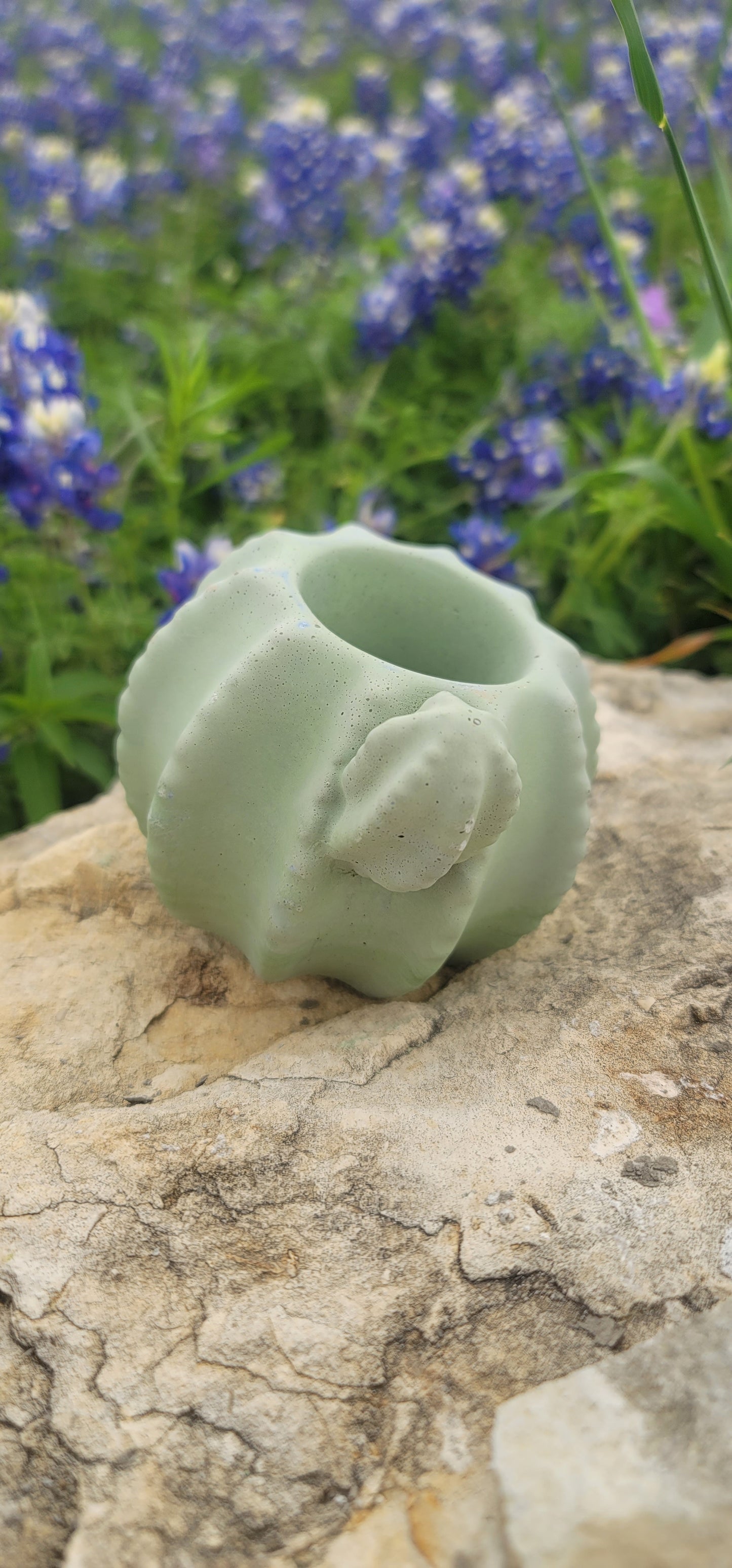 Cactus shaped planter