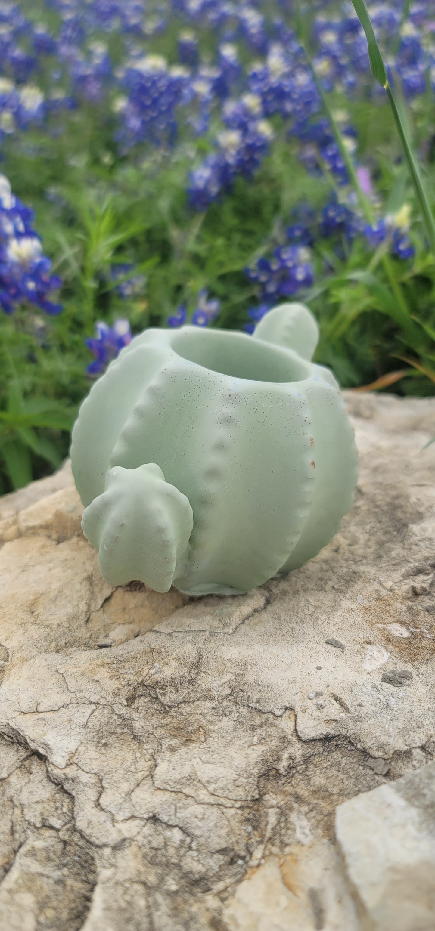 Cactus shaped planter