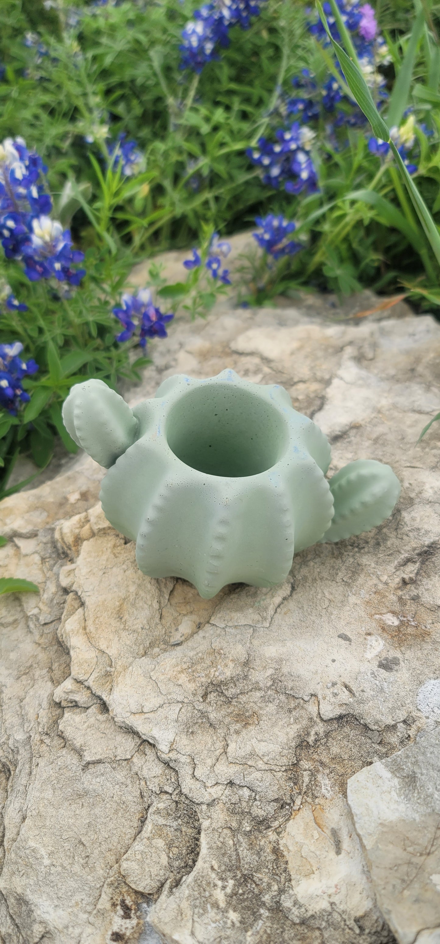 Cactus shaped planter