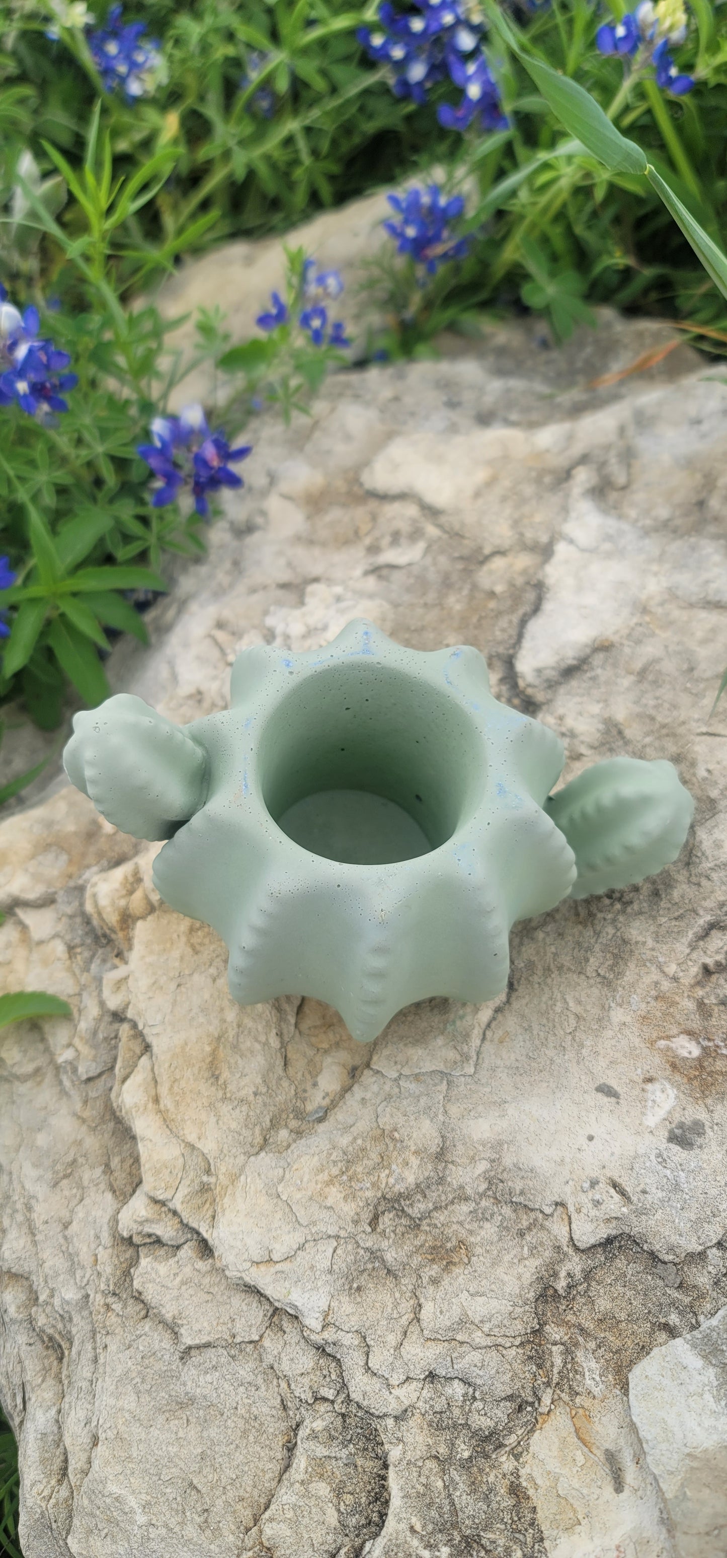 Cactus shaped planter