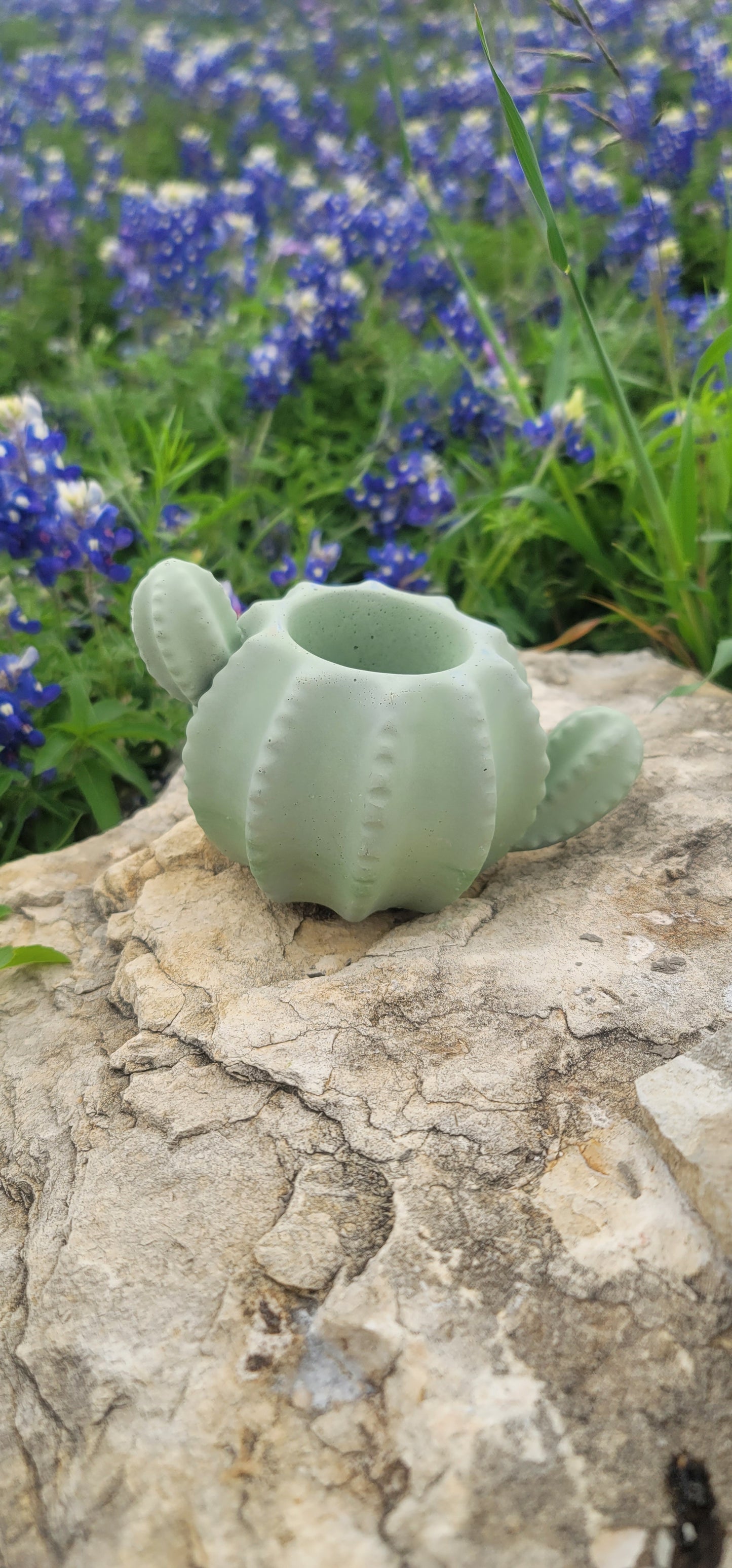Cactus shaped planter