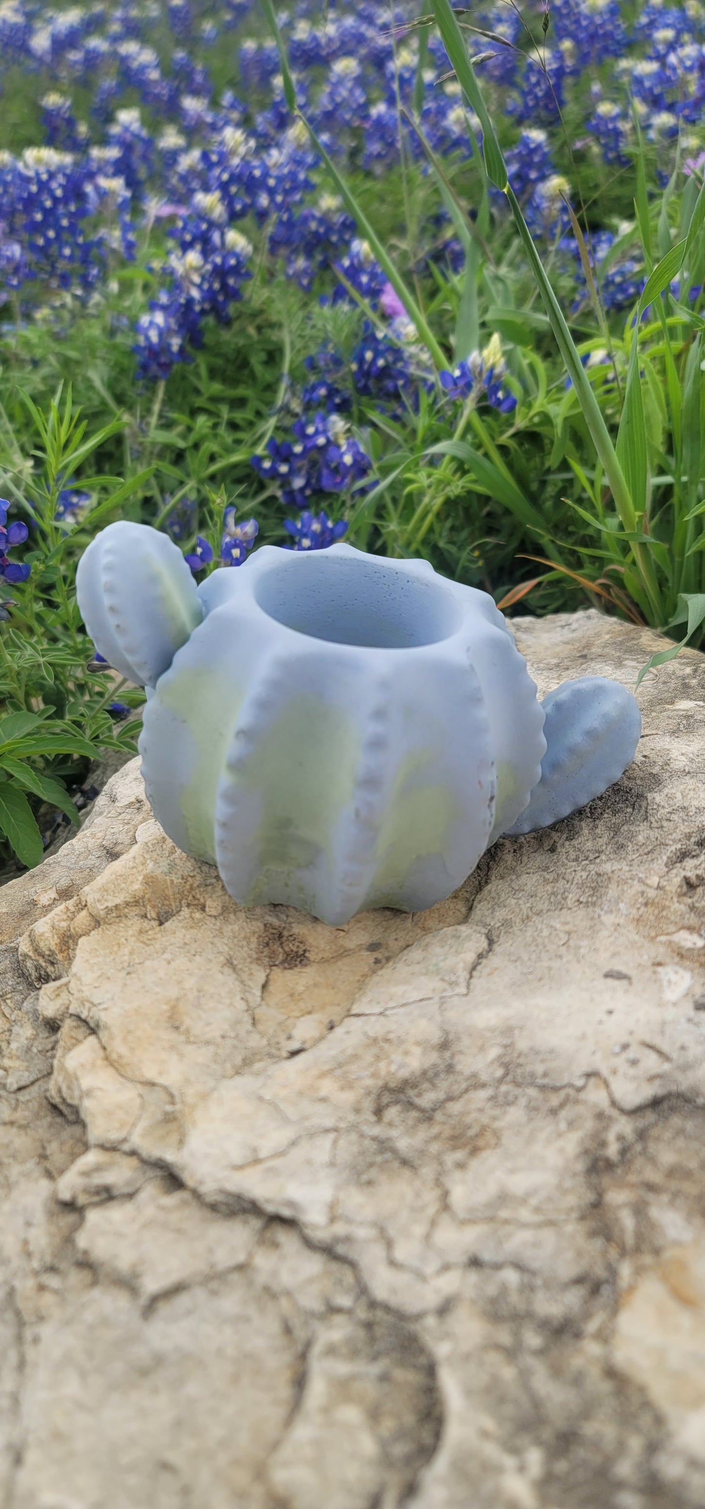 Cactus shaped planter
