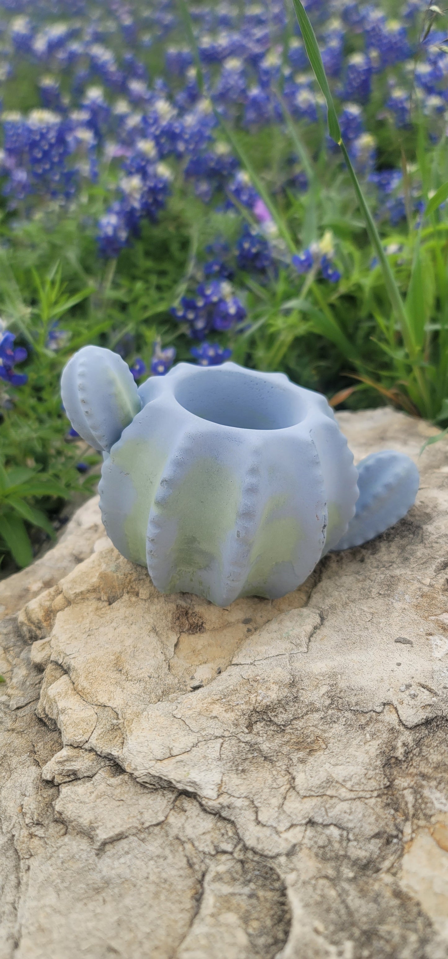 Cactus shaped planter