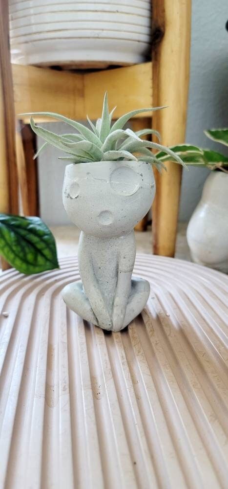 ghost air plant holder Kodama Planter – Concrete Forest Spirit Air Plant Holder – JustJinxd