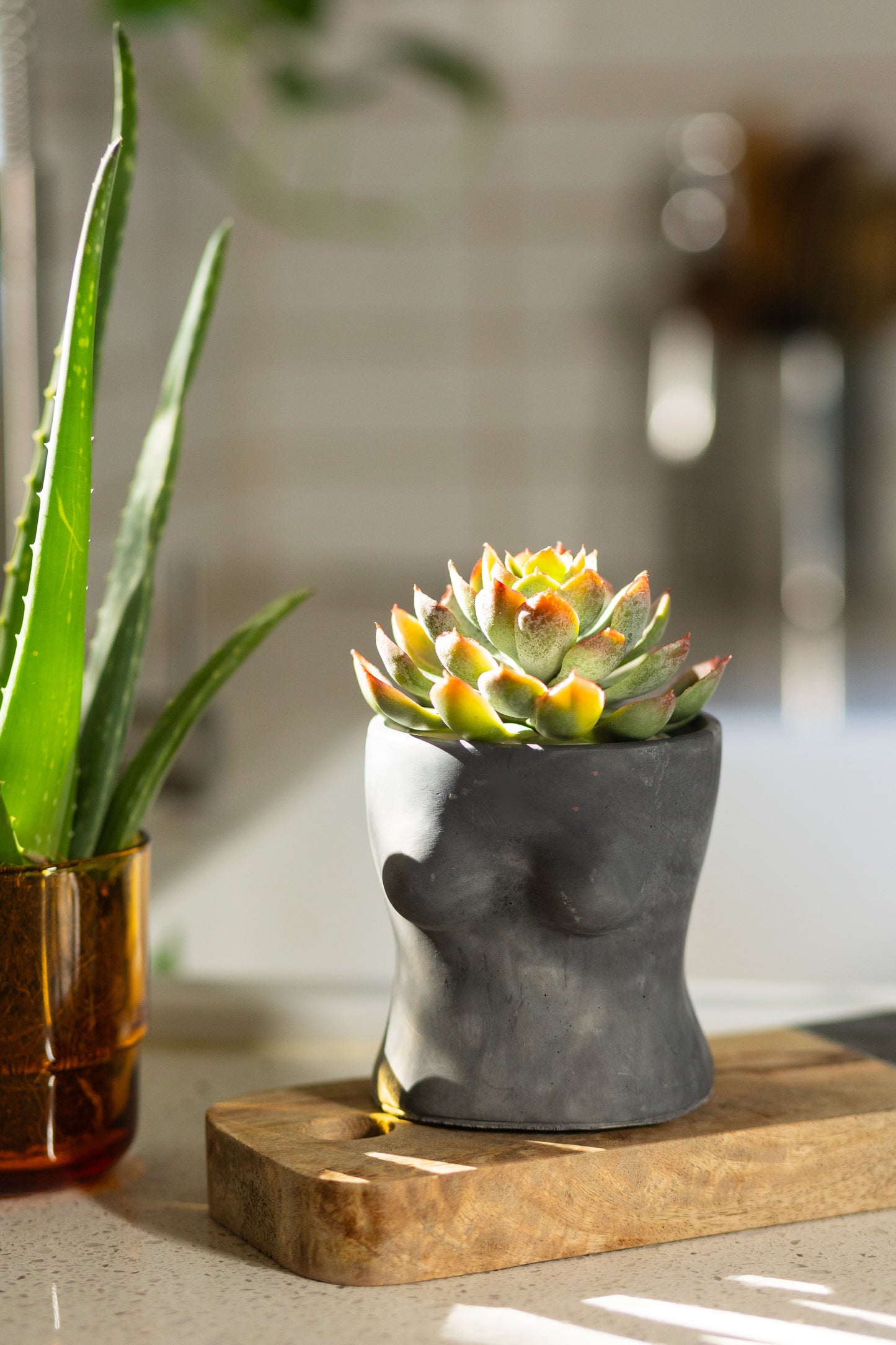Booby Planter - Celebrate Body Positivity