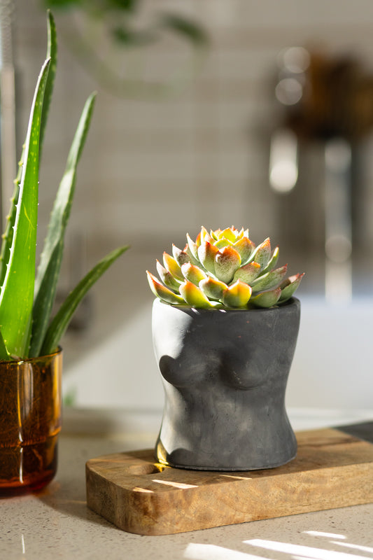 Booby Planter - Celebrate Body Positivity