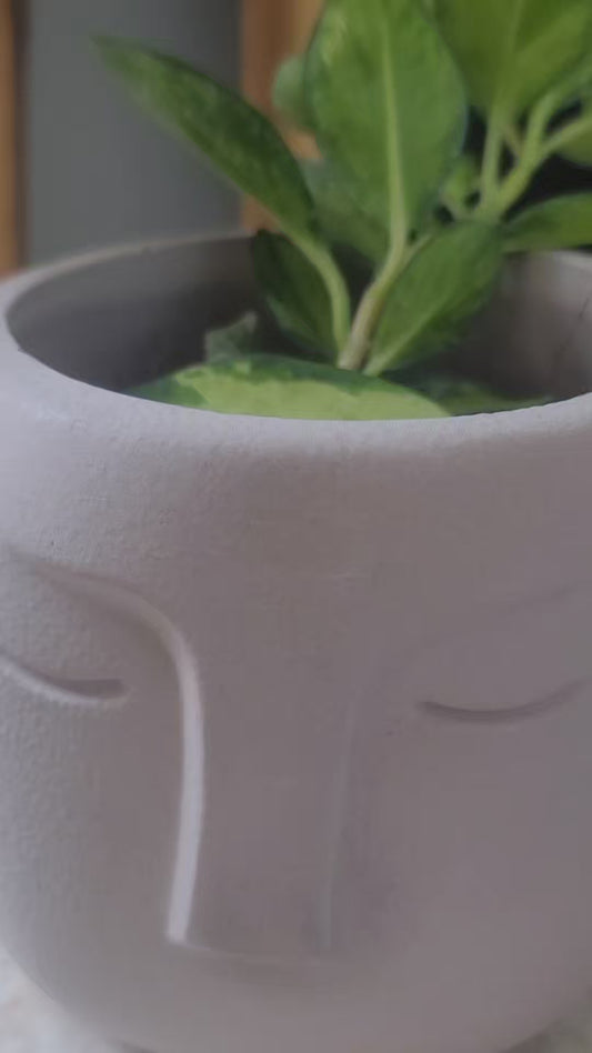 Face planter pot