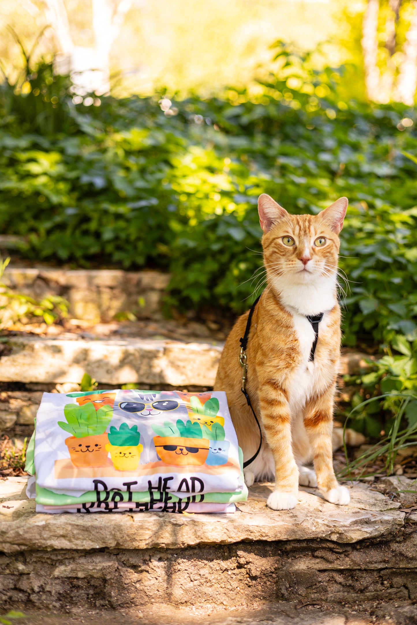 Stack of multi-color T-shirts (white, green, and pink) on a rock staircase next to a ginger cat with a bushy green background.