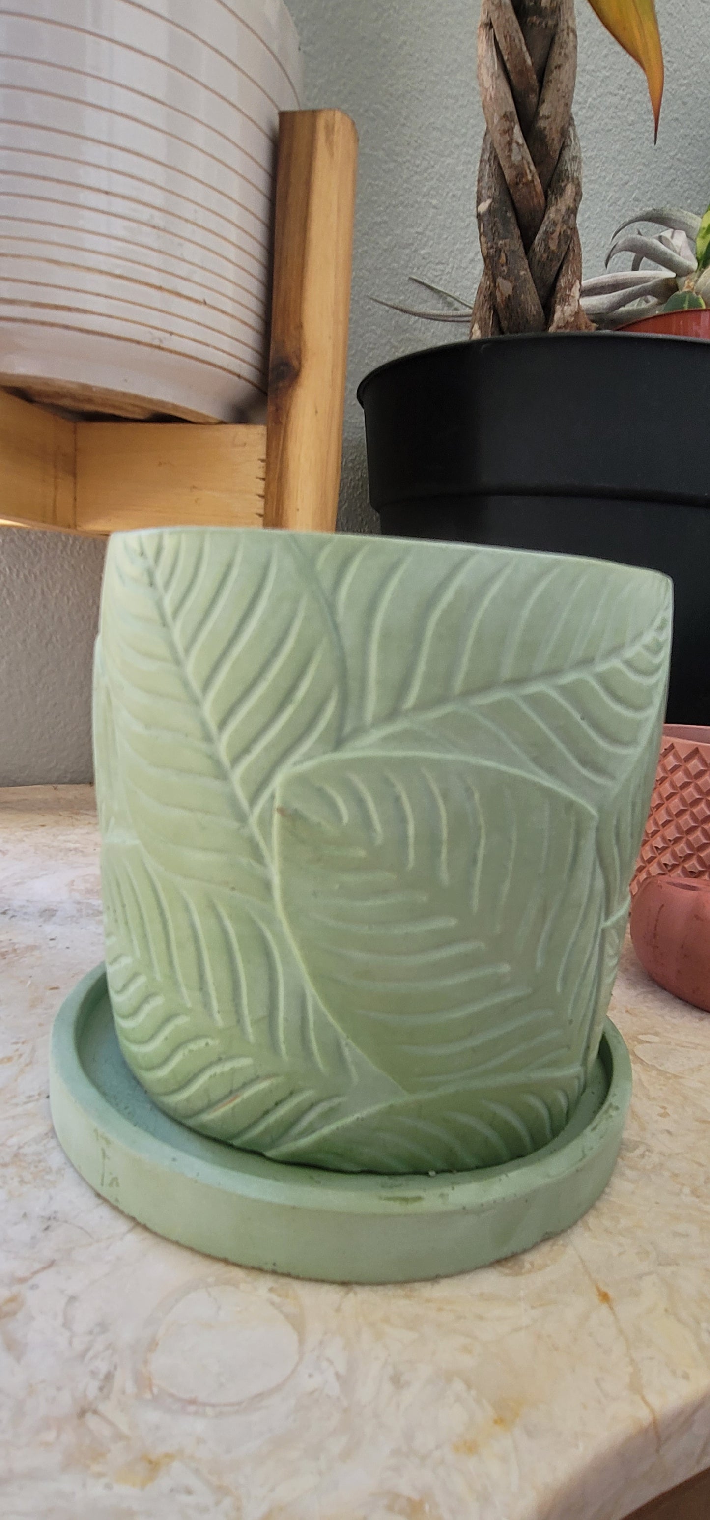 Green 6 inch planter with drainage hole and tray. Tropical leaves imprinting