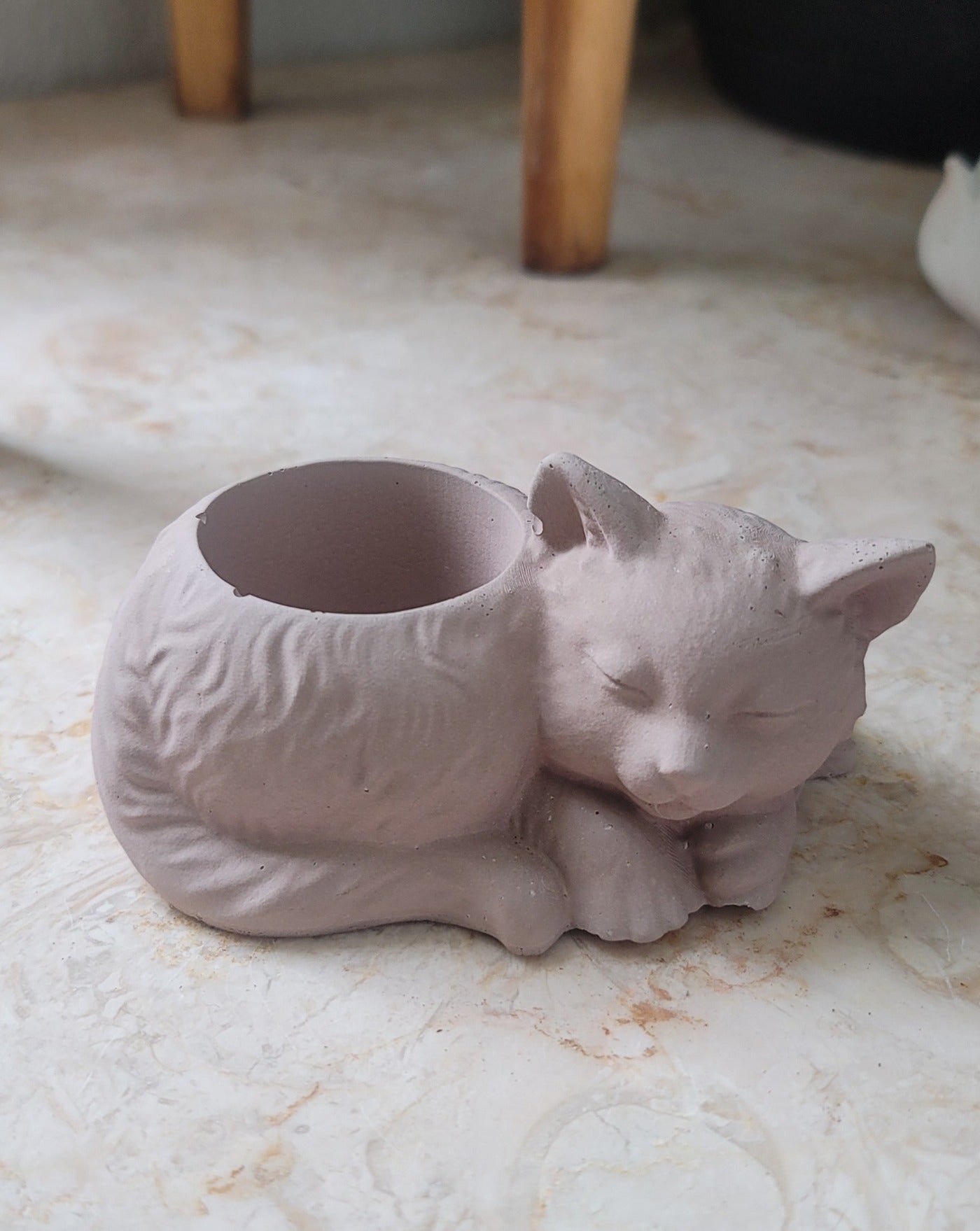 Cat planter