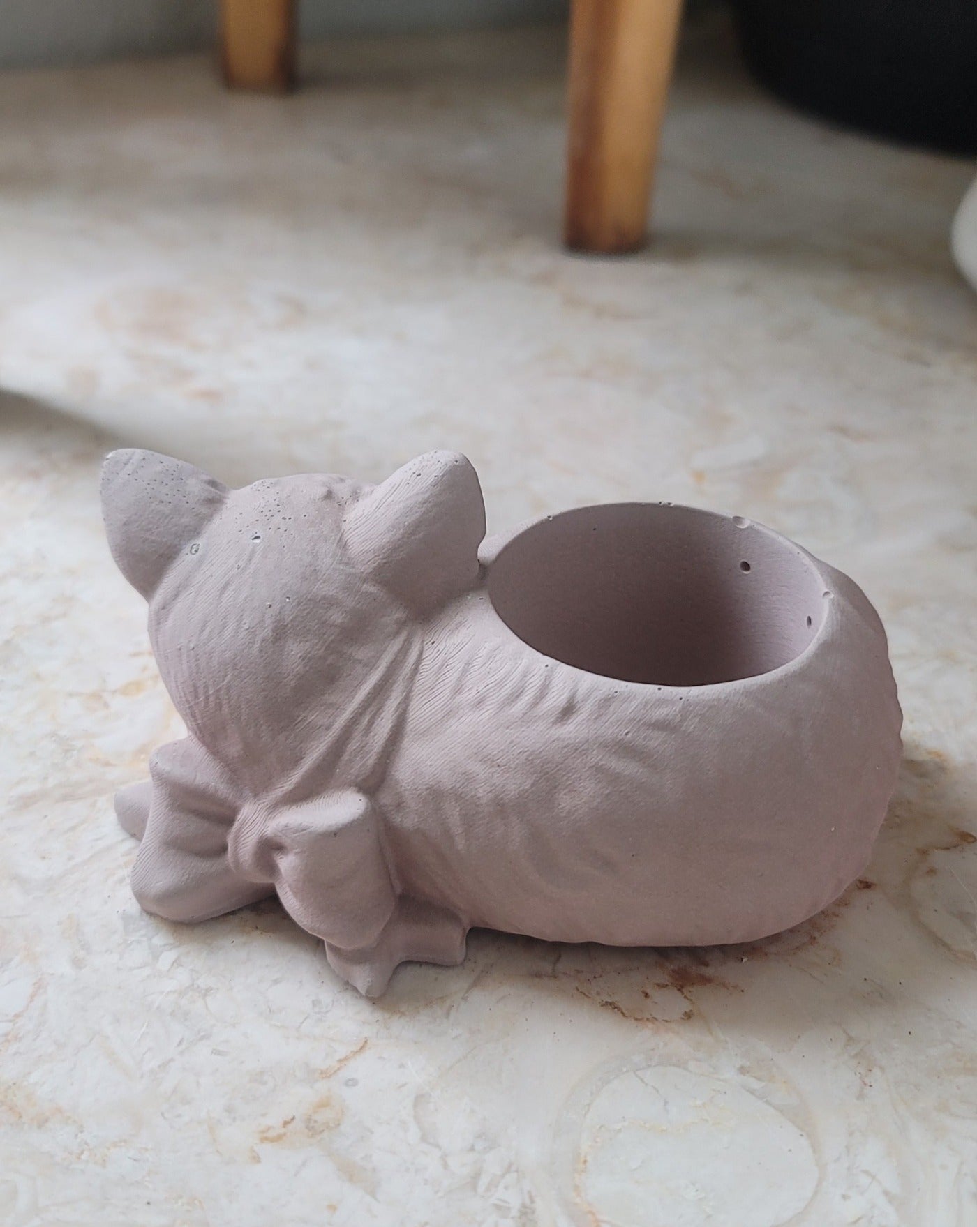 Cat planter