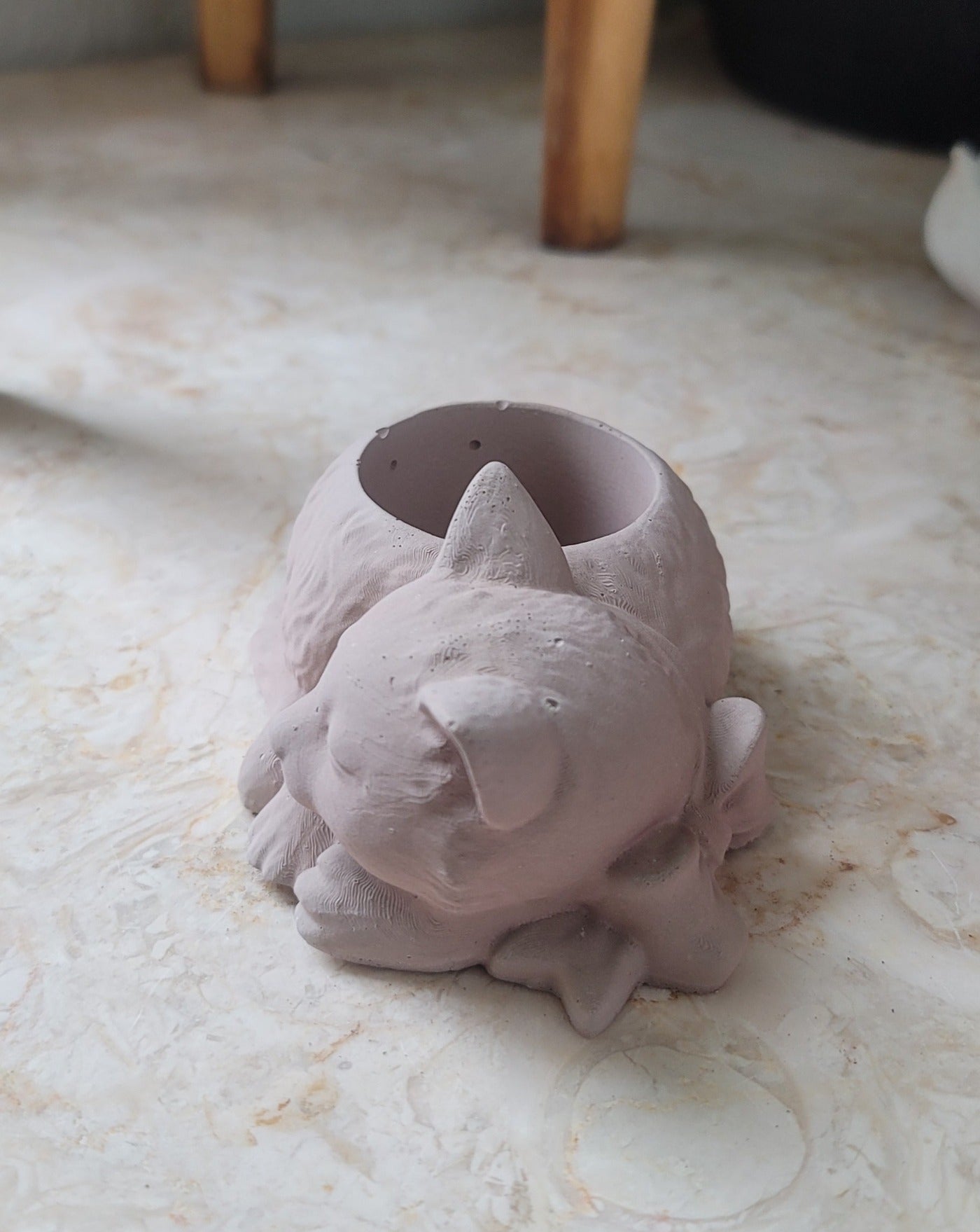 Cat planter