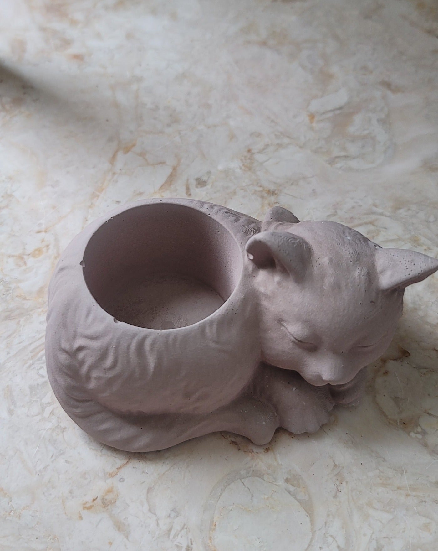 Cat planter