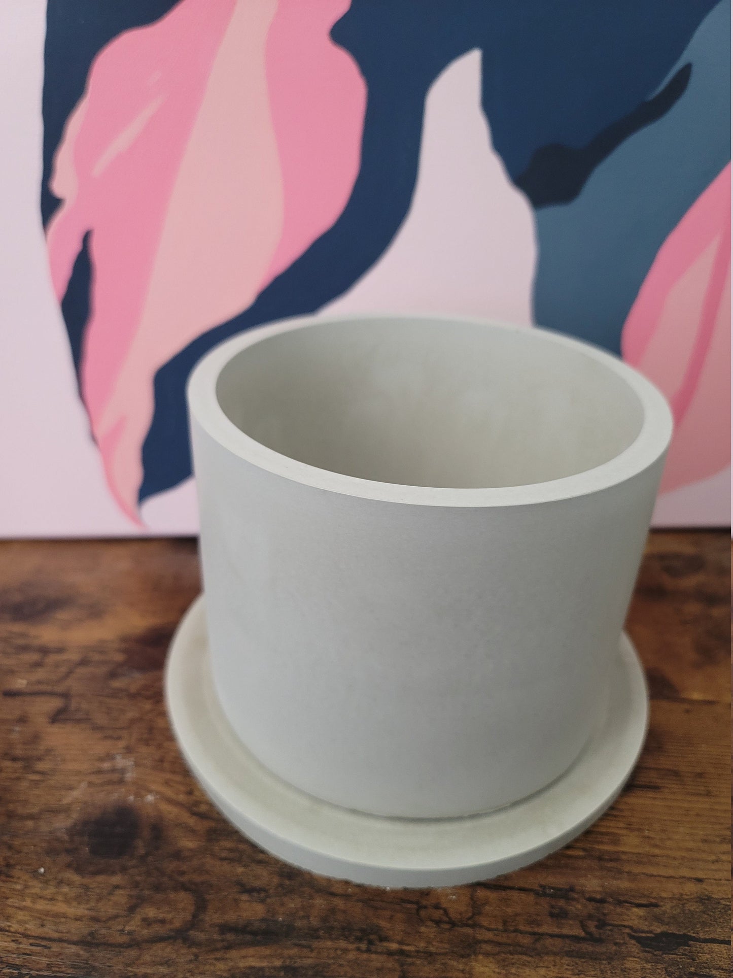 Medium 6in Concrete Planter with Tray | Simple Pot | Medium pot | Planter with Drainage Hole | Round Flower pot | Cement Plant Pot |Cute pot