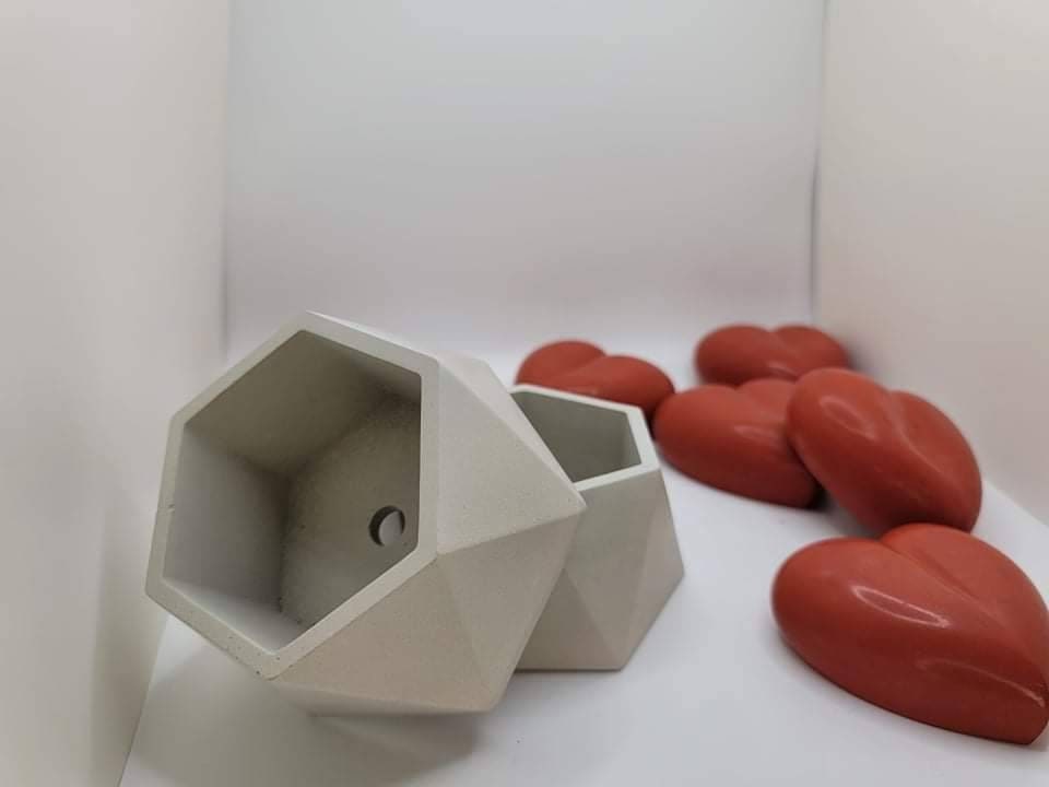 Modern Hexagon Planter