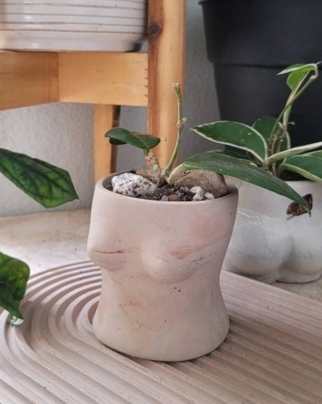 Booby Planter - Celebrate Body Positivity