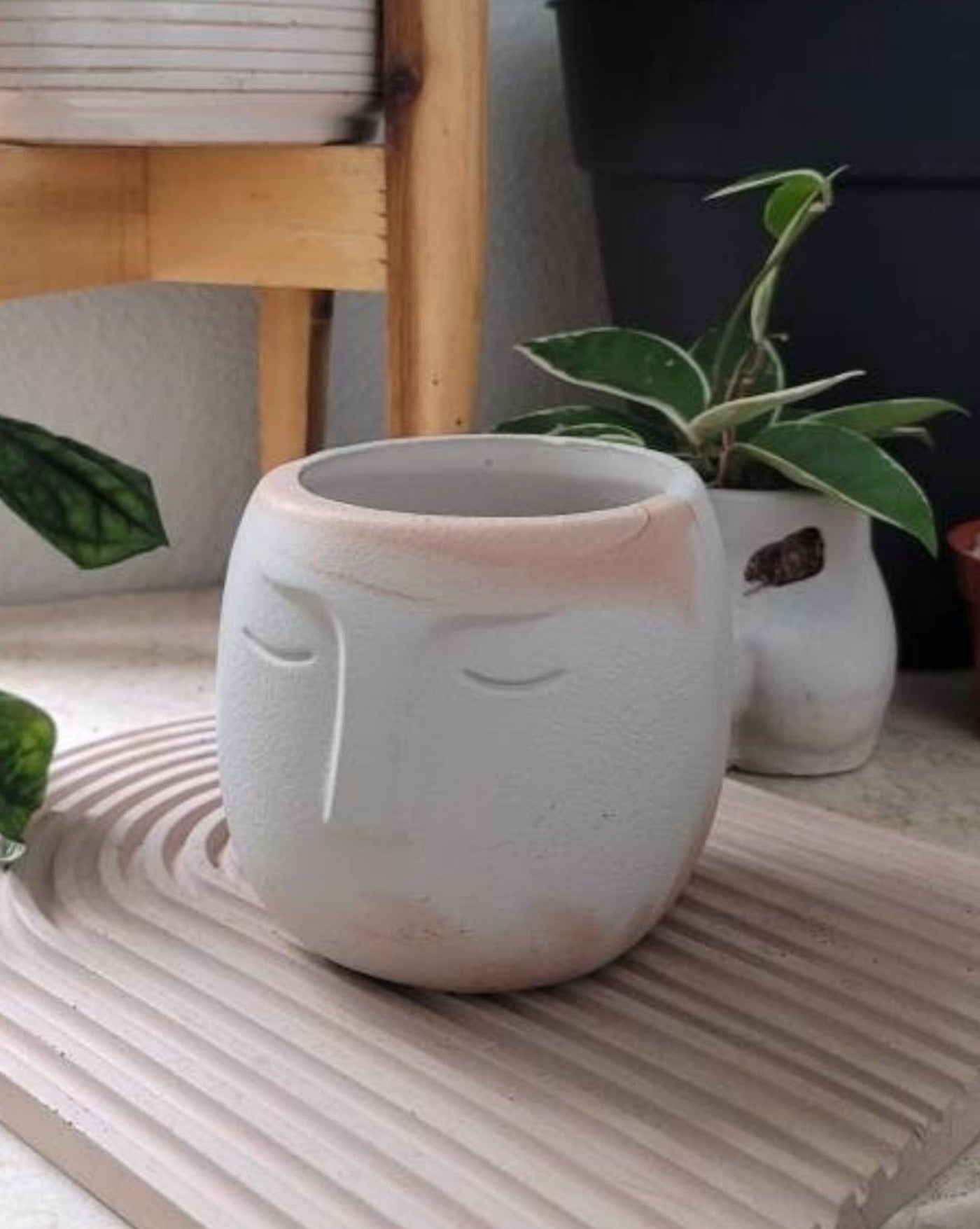 Face planter pot