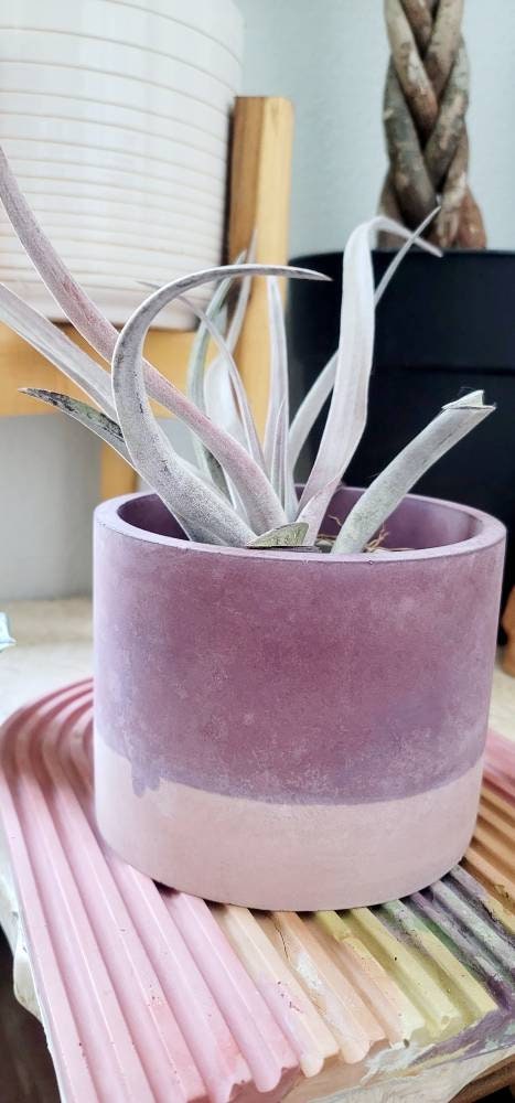 Medium 6in Concrete Planter with Tray | Simple Pot | Medium pot | Planter with Drainage Hole | Round Flower pot | Cement Plant Pot |Cute pot