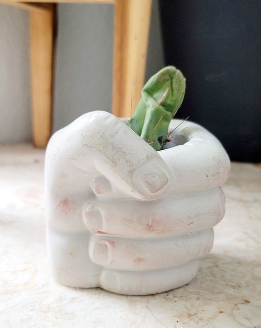 Cement Fist Planter