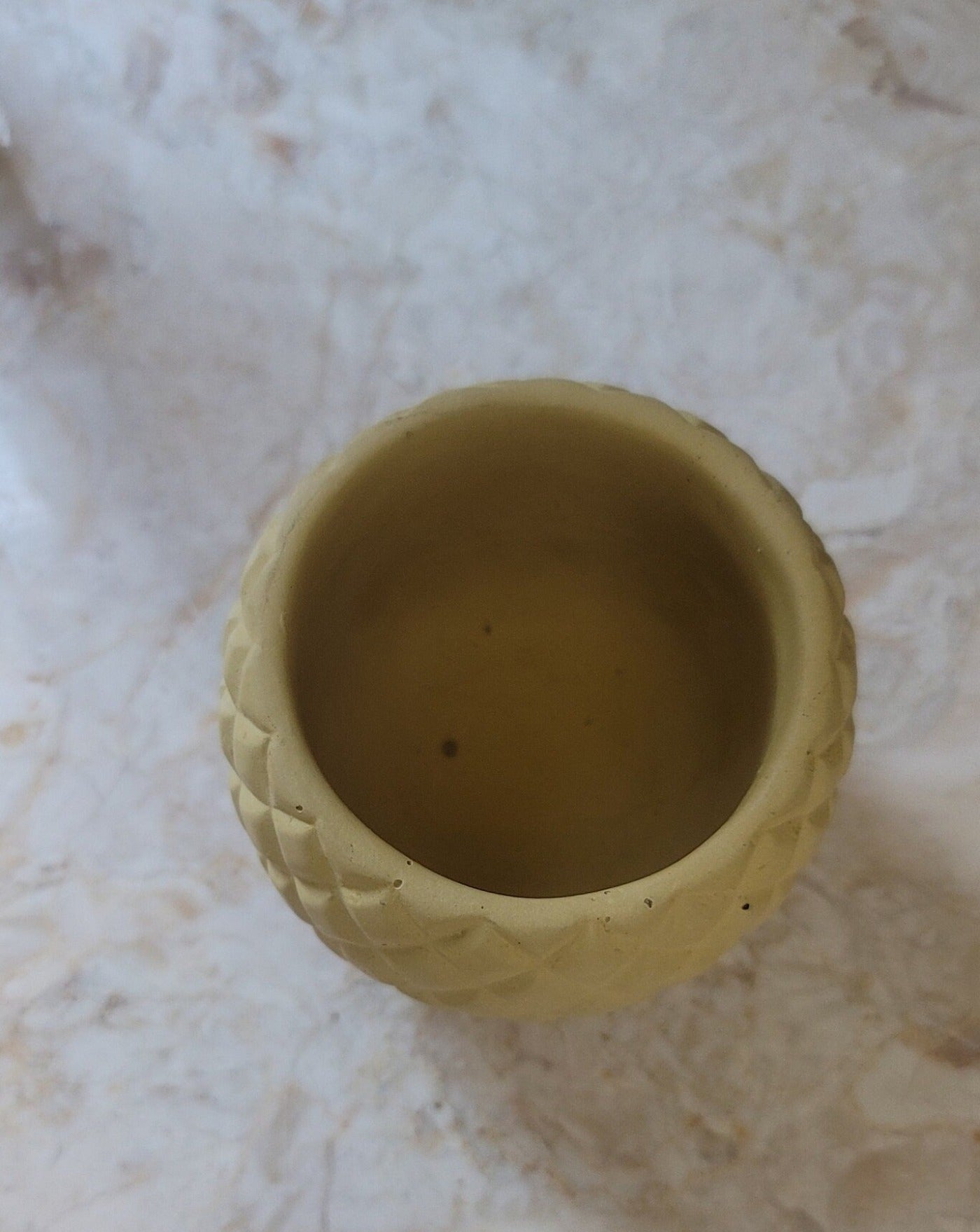 Pineapple Planter