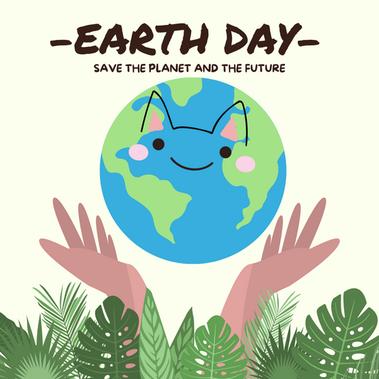 Earth Day in Austin, Texas: Ideas on What to Do to Celebrate and Make a Difference