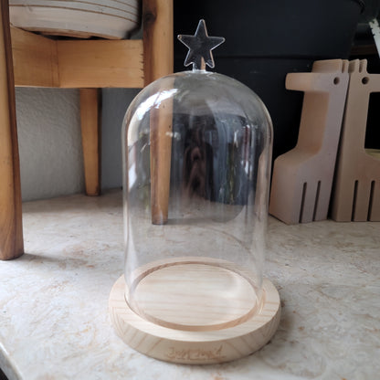 Glass Dome with Star Topper