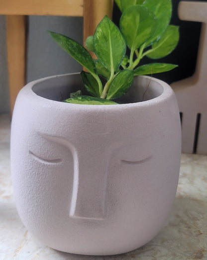 Face planter pot