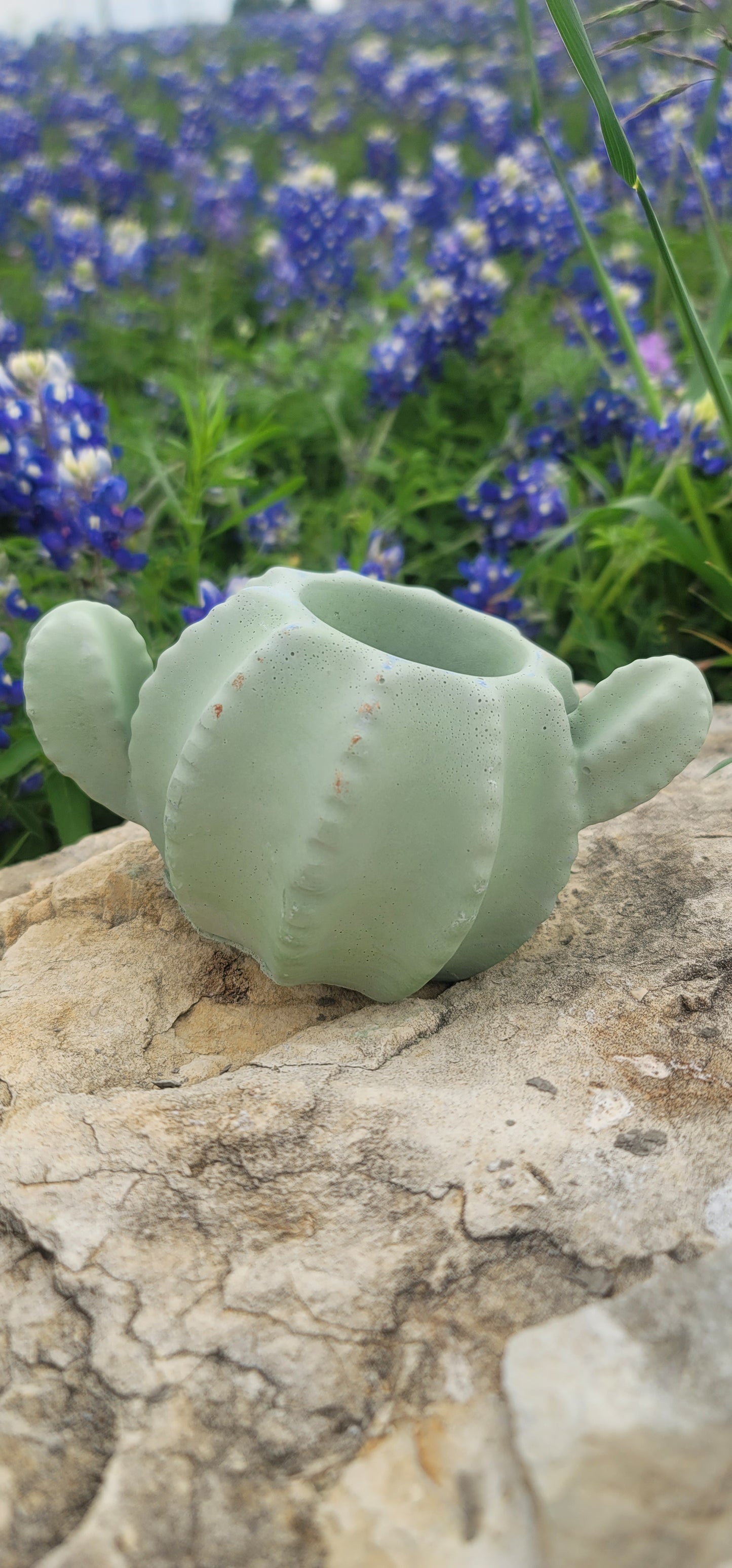 Cactus shaped planter