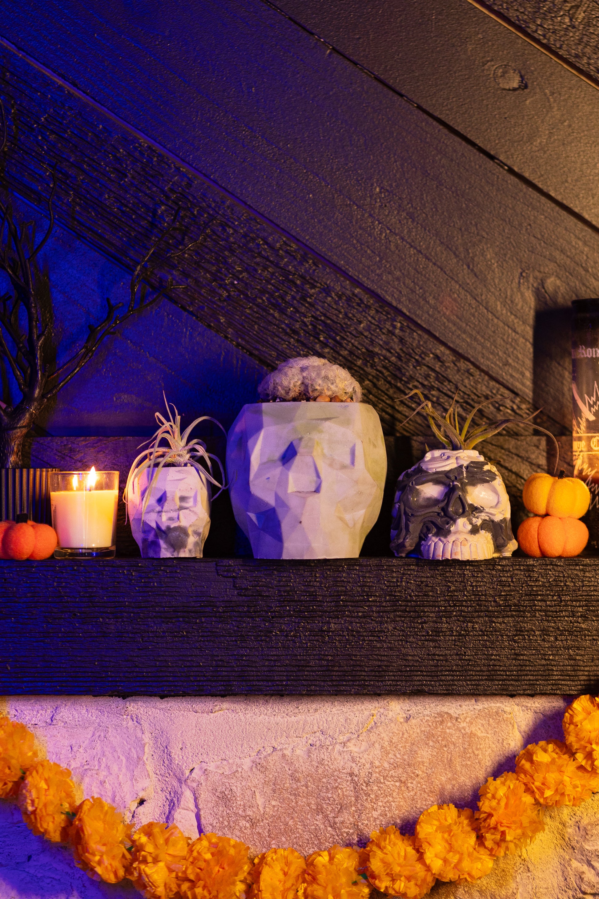 A spooky Halloween display featuring three skull-shaped cement planters on a dark wooden mantel. The largest planter in the center is a geometric skull design with a light green tint, holding a fuzzy cactus. On either side, two smaller skull planters hold air plants, with one skull in white and gray tones, and the other resembling a traditional black-and-white skull. The scene is lit by a glowing yellow candle and adorned with small orange pumpkins. Below the mantel, a garland of bright yellow marigold flow