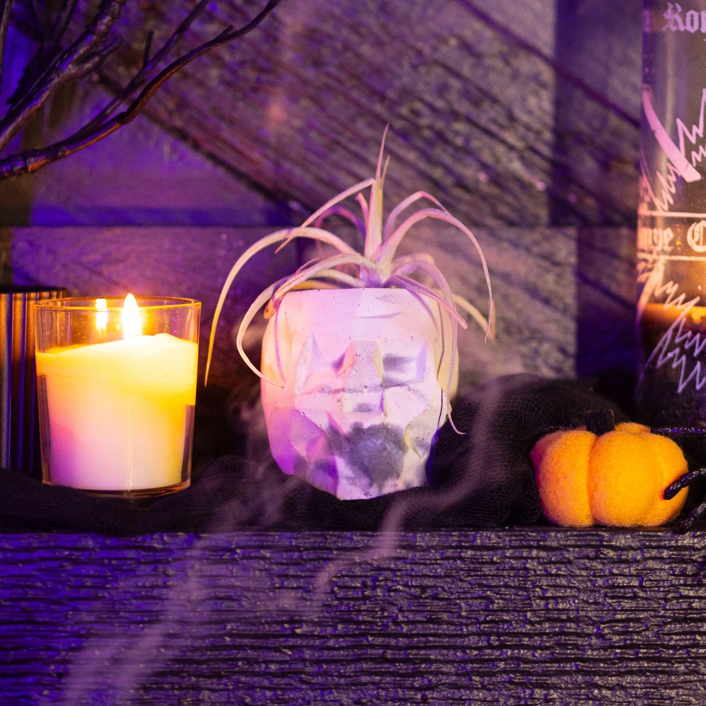 Halloween Skull Planter