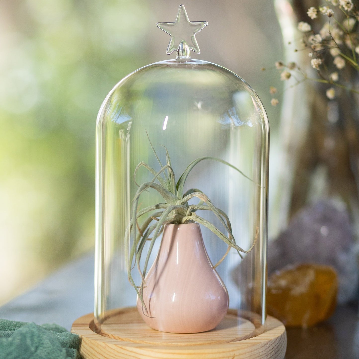 Glass Dome with Star Topper