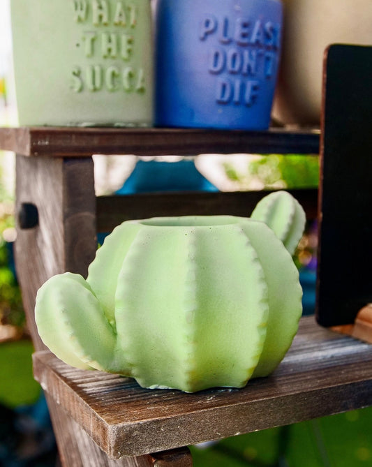 Cactus shaped planter
